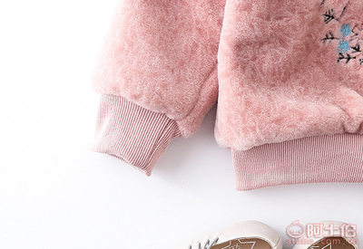 【sss2017冬款新款韓版女童加絨加厚刺繡寬松套頭衛(wèi)衣兒童上衣廠家批發(fā)G627】溫州市甌海梧田萌清童裝網店 - 產品庫