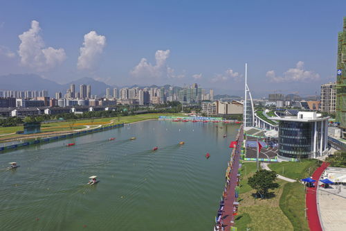 群眾比賽龍舟決賽溫州開賽，展現(xiàn)傳統(tǒng)體育魅力